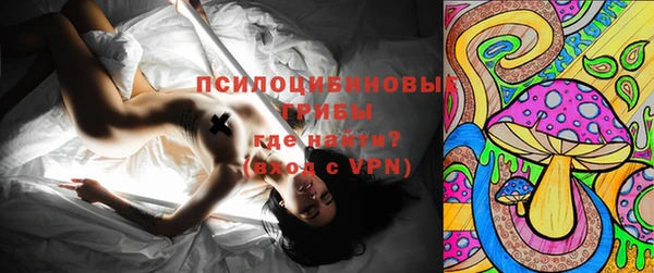 тгк Алзамай