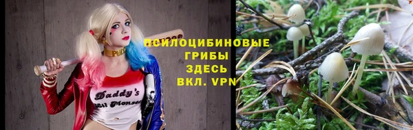 тгк Алзамай